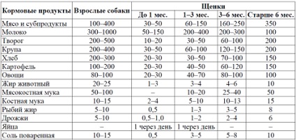 Aditivi pentru hrană - caracteristici ale digestiei la câini