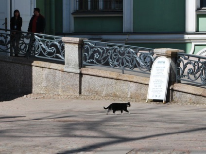 Pisicile schitului (foto) - tehnopolis mâine