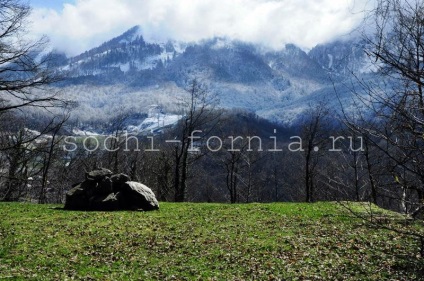 Polea roșie, esto-grădina este locul unde și ce este diferența dintre ele