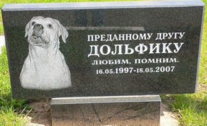 Cumpărați un monument pentru câine, pisică și alte animale la mormânt