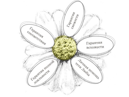 Cumparati seminte de rochie de mireasa crizanteme 0, 1 g la cel mai bun pret cu livrare la Moscova si Rusia