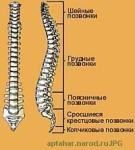 Gimnastica terapeutica pentru prevenirea si tratamentul racelii comune (exercitii fizice si terapeutice)