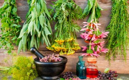 Növényi pszoriázis kezelésére a hazai receptek hozzáférhető