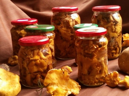 Chanterelles pentru iarnă în bănci