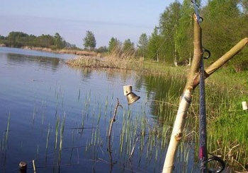 Stelele din închisoare