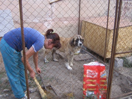 Fondul Luhansk pentru asistență și protecție a animalelor stricate - dă-ți paw!