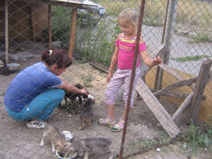 Fondul Luhansk pentru asistență și protecție a animalelor stricate - dă-ți paw!
