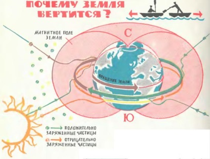 Efectul câmpului magnetic al pământului asupra omului