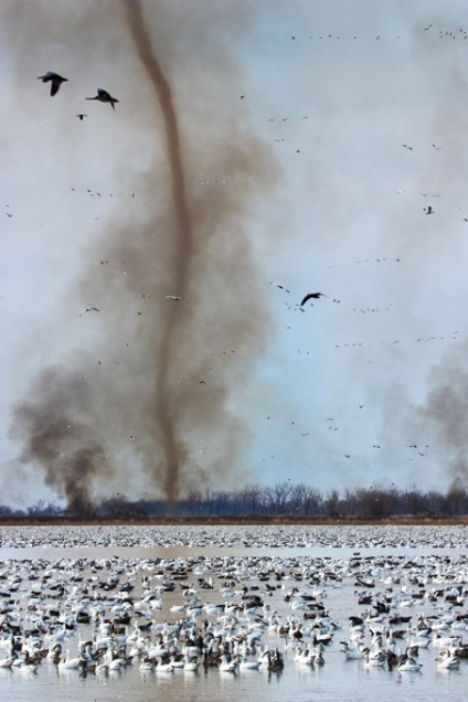 Michael Hollingshid vânătorul pentru fermoare și o tornadă