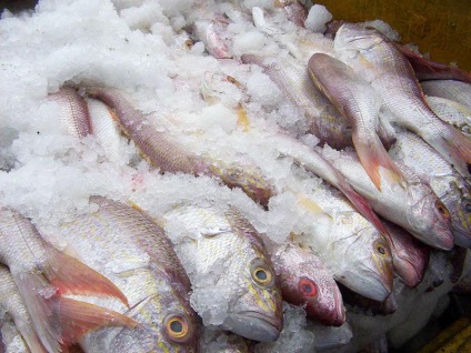Fagyasztott hal - előnyei és hátrányai