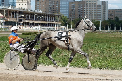 Muzeul de la Hippodromul Moscovei