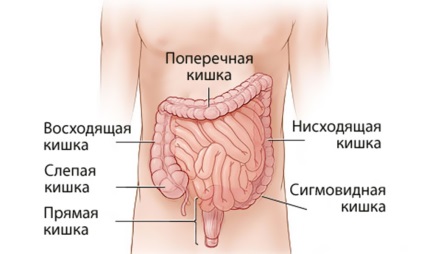 Remedii populare pentru balonare (flatulență) la adulți, utilizarea ierburilor pentru formarea gazului