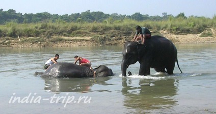 Parcul Național Chitwan din Nepal