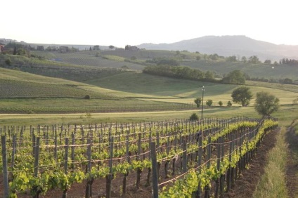 Excursie de neuitat la Toscana - Siena (Italia)