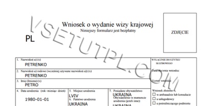 Un eșantion de completare a unui formular de cerere de viză pe cartea rudelor relative