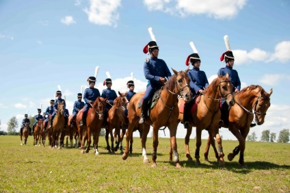 Privire de ansamblu a rasei don de cai, descrierea și fotografia acestuia