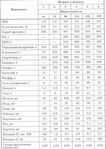 Bazele de hrănire a bovinelor tinere