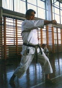 Diferențele principale dintre karate tradiționale (itkf) și modernul karate comun (wuko) - centrul