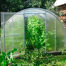 Jellemzői termesztés uborka és paradicsom egy üvegház