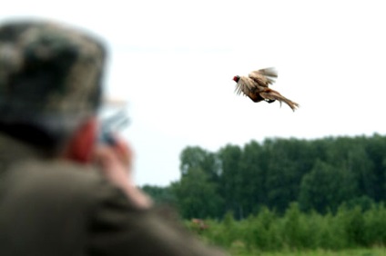 Vânătoare fazan cu pneumatică