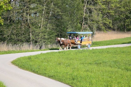 Chiemsee (Chiemsee)