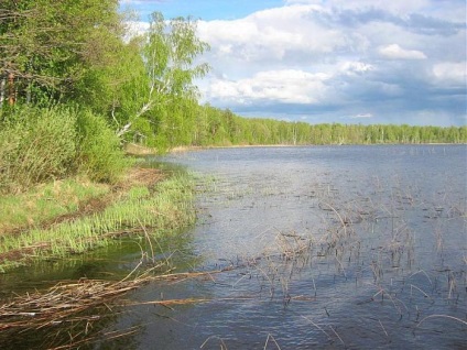 Lac Lubenskoye Lomonosov raionul de pescuit fotografii, interzicerea motorului