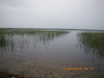 Lac Lubenskoye Lomonosov raionul de pescuit fotografii, interzicerea motorului