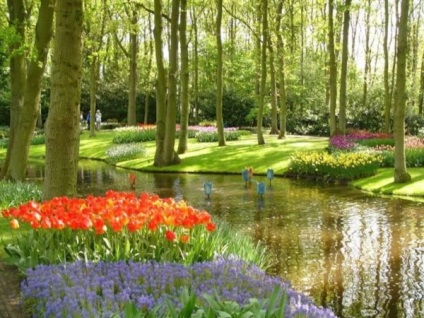 Emirgan Park - natura distractivă a Turciei