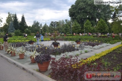 Gorkij Park, Moszkva - „ez a keserű Moszkva park 2015-ben szeretné látni