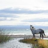 Patagonia - obiective turistice, munți, odihnă, hoteluri, climă, drumeții montane, peșteri de marmură, orașe