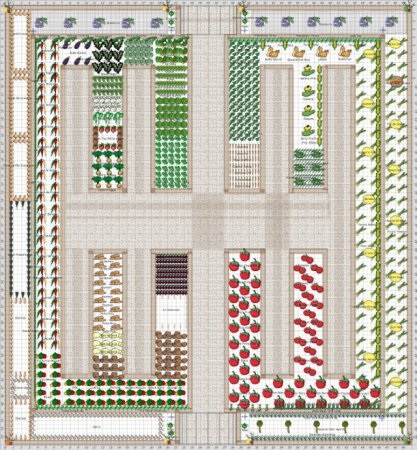 Planificarea grădinii pentru plantarea diferitelor scheme