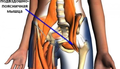 Anatomia și patologia musculaturii spatelui Ilio-lumbarus