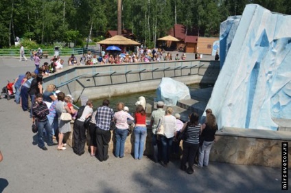 Vizitarea Gradinii zoologice din Novosibirsk