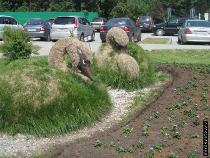 Vizitarea Gradinii zoologice din Novosibirsk