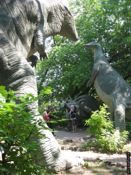 Vizitarea Gradinii zoologice din Novosibirsk