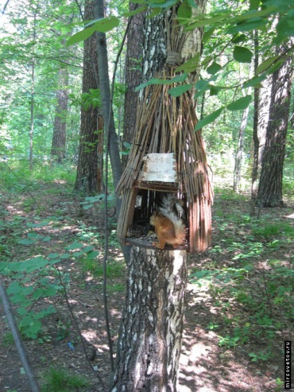 Vizitarea Gradinii zoologice din Novosibirsk