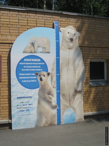 Vizitarea Gradinii zoologice din Novosibirsk