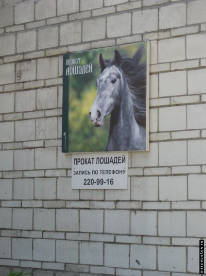 Vizitarea Gradinii zoologice din Novosibirsk