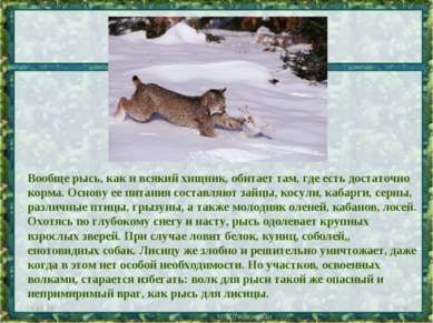 Prezentare - lynx - văr de pisică - download gratuit