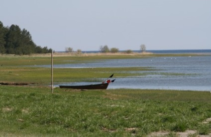 Parcul natural al lacului Engures și vaci albastre din Letonia