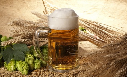 Grâu de bere la retete de gătit acasă pentru bere de grâu la domiciliu din malț de grâu