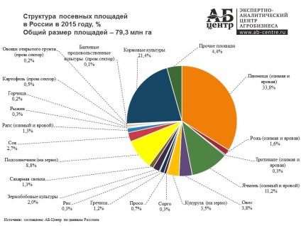 Exploatarea plantelor din Rusia în 2016