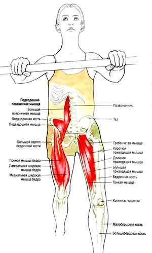 Stretching al mușchiului ilio-lombar
