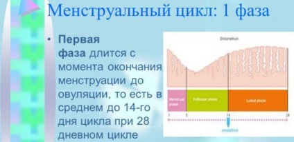 Reglarea nivelurilor ciclului menstrual și a schemei