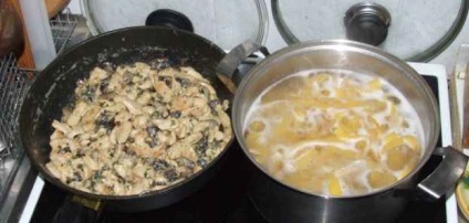 Rețetă pentru pappardelle cu ciuperci de porcini și pui de casă