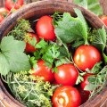 Reteta felii de tomate cu usturoi pentru iarna fara sterilizarea degetelor tale
