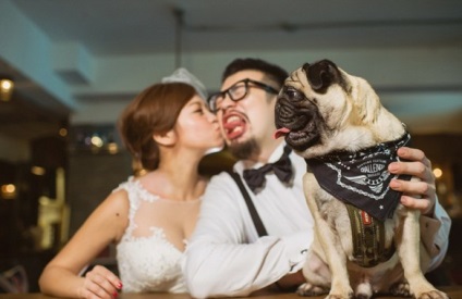 Ru legviccesebb esküvői fotó 2015