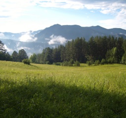 Sanatoriu - lac de primăvară, teritoriul Altai, primăvara, strada Gagarin, 5