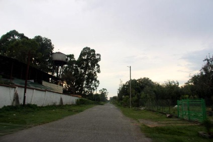 Village kyndyg (Abhazia) sectorul privat, groapa de eucalipt, recenzii