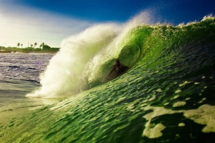 Serghei shakuto - Surfing - este scump, periculos și interesant